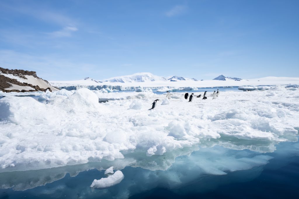 Perpetual Planet Ocean Expeditions