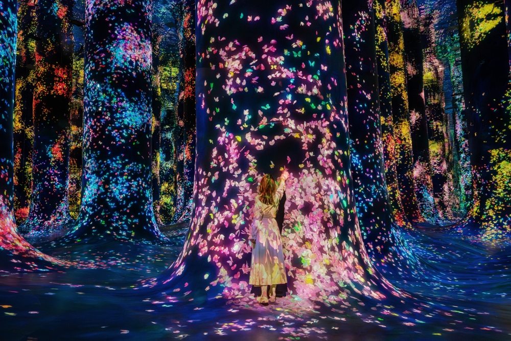 teamlab abu dhabi